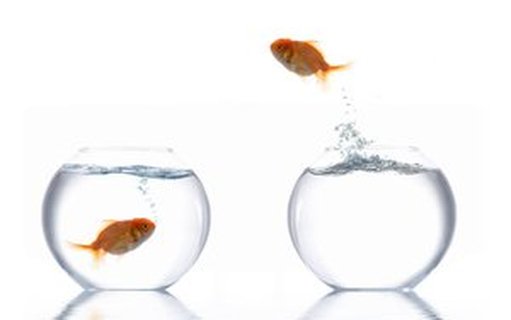 打造高效Jenkins团队的经验分享